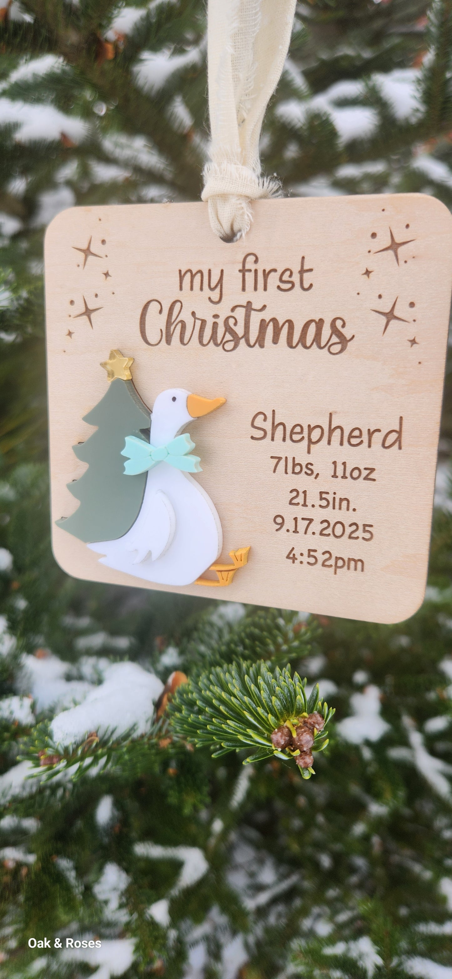 Baby Goose First Christmas