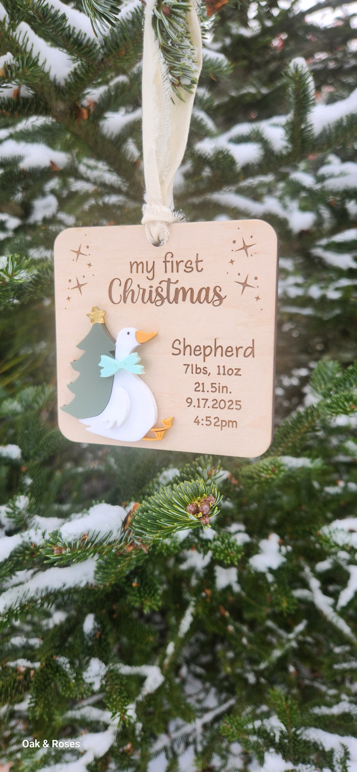 Baby Goose First Christmas