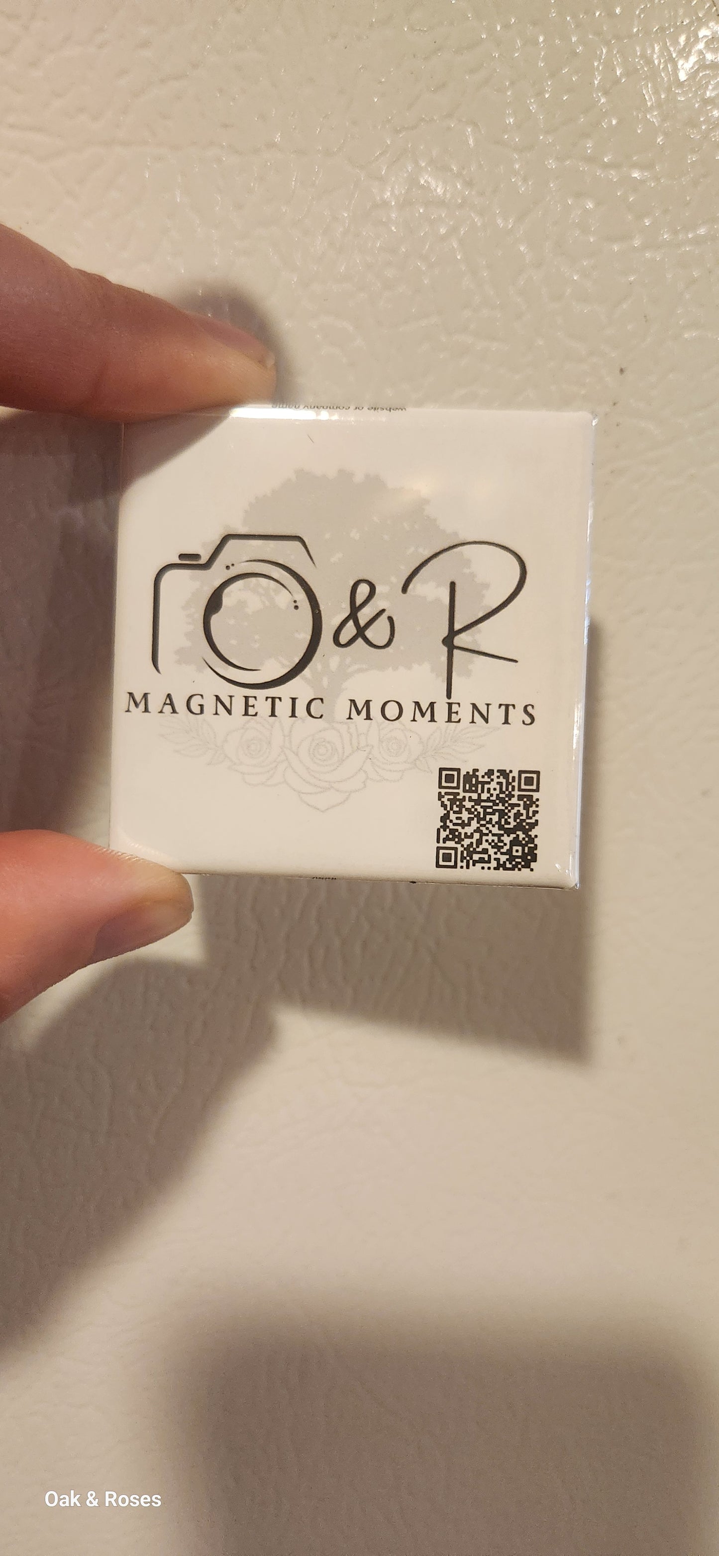 Magnetic Memories